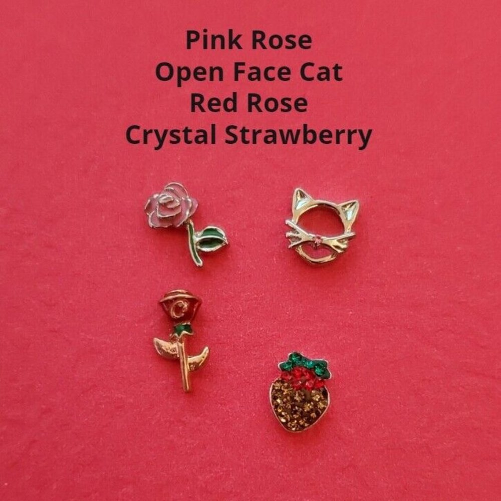 Authentic Origami Owl Charm Lot - Set of 8 packs